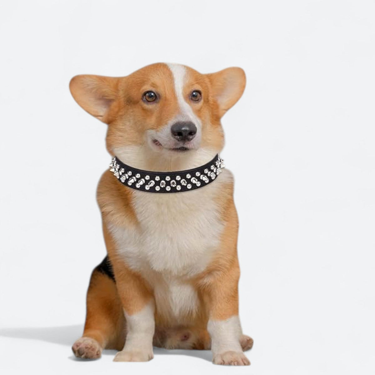 Spiked-Leather-Dog-Collar-Leash-Set.jpg