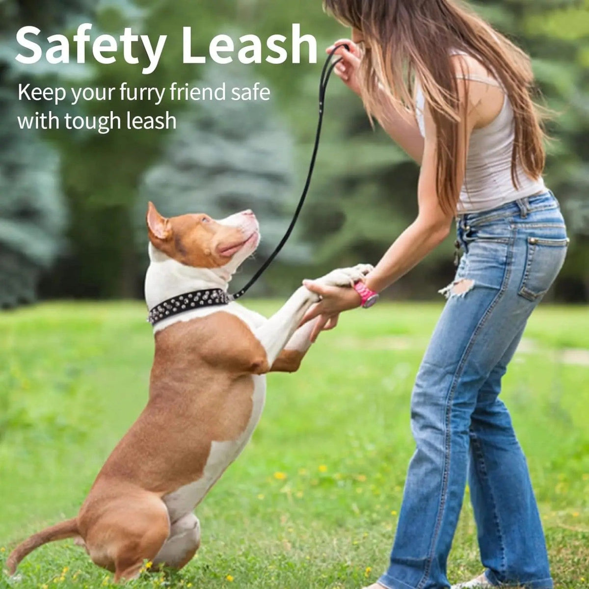 Spiked-Leather-Dog-Collar-Leash-Set.jpg