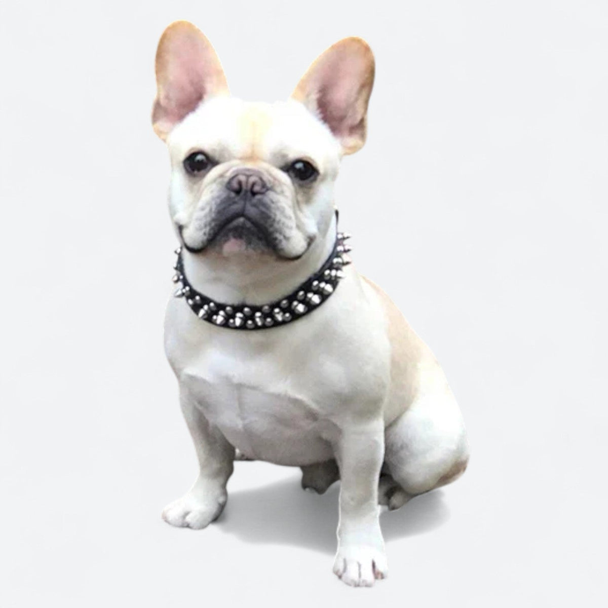 Spiked-Leather-Dog-Collar-Leash-Set.jpg
