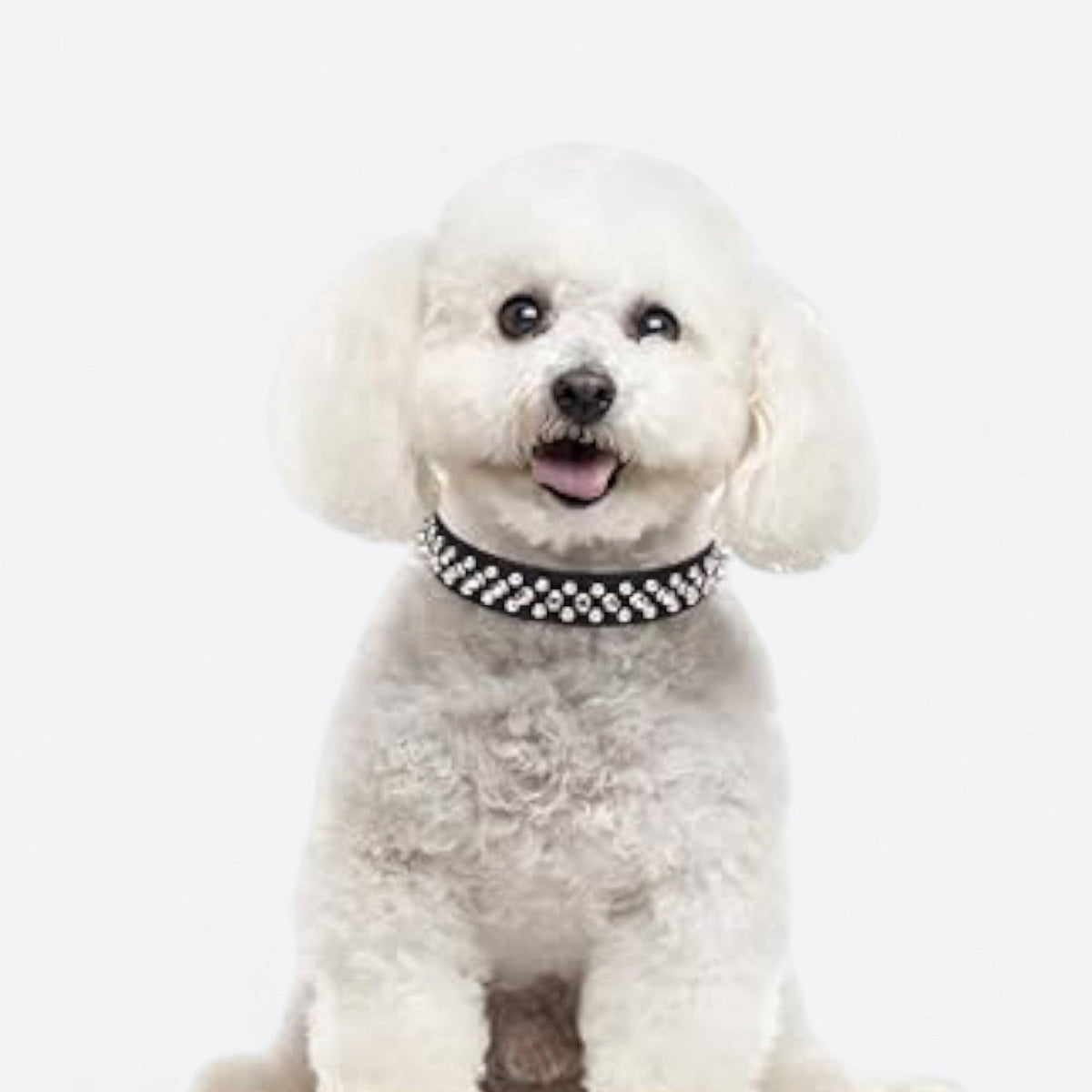 Spiked-Leather-Dog-Collar-Leash-Set.jpg