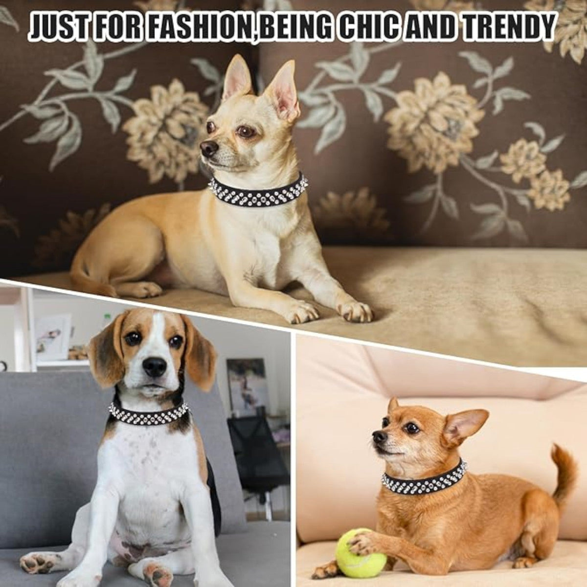Spiked-Leather-Dog-Collar-Leash-Set.jpg