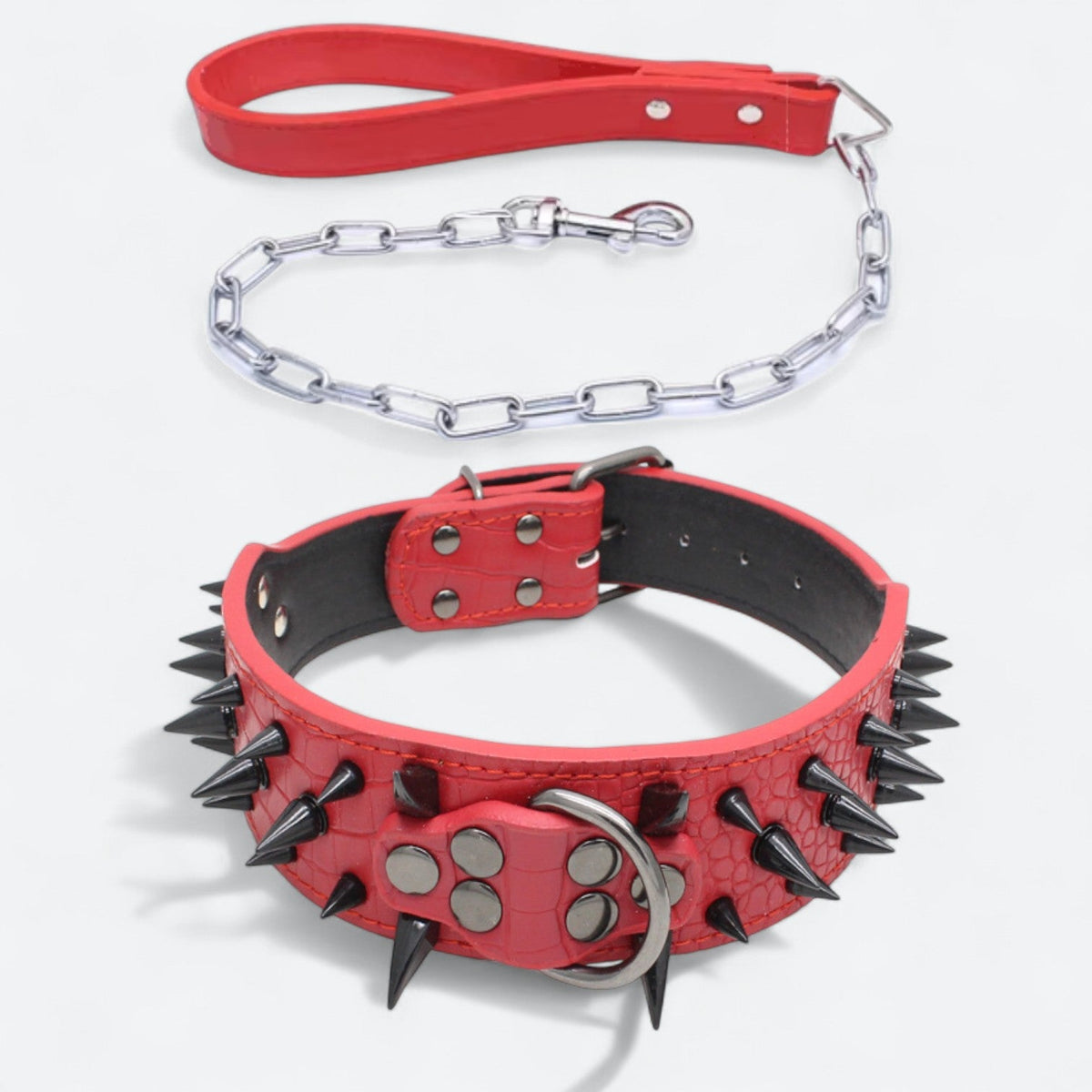 Spiked rivet dog collar and leash set