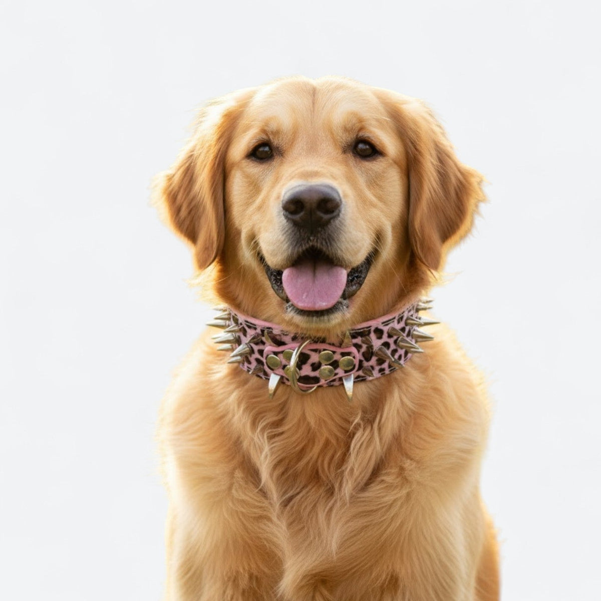 Spiked-Rivet-Dog-Collar-Leash-Set.jpg