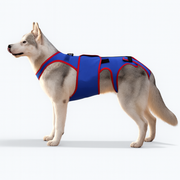 Vet-approved spinal support dog harness