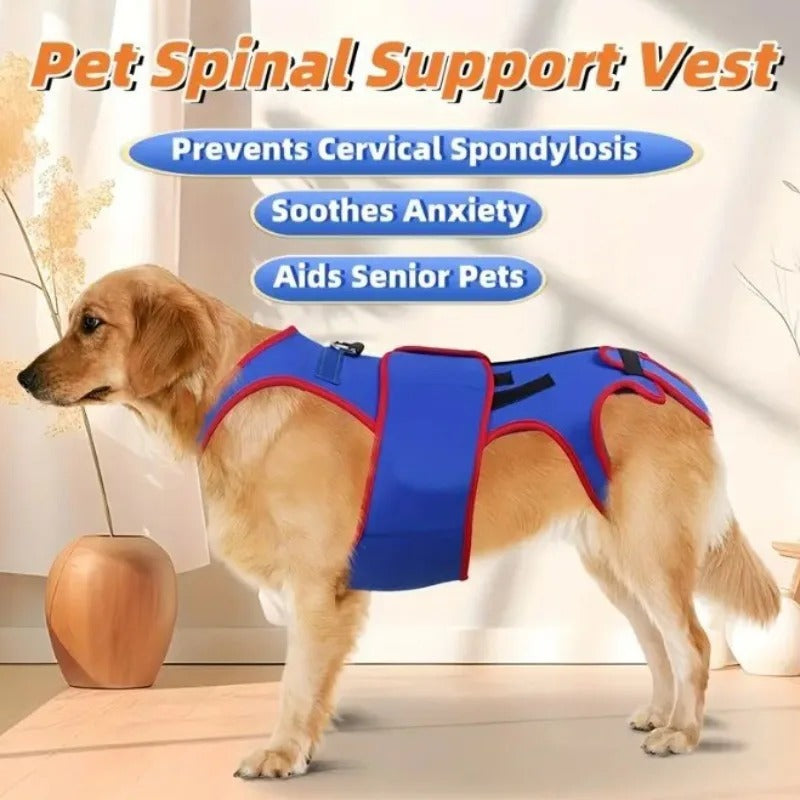 Spinal-Fracture-Fixation-Dog-Belt.jpg
