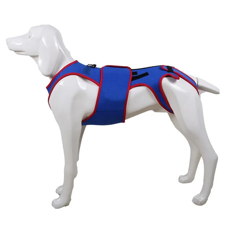Spinal-Fracture-Fixation-Dog-Belt.jpg