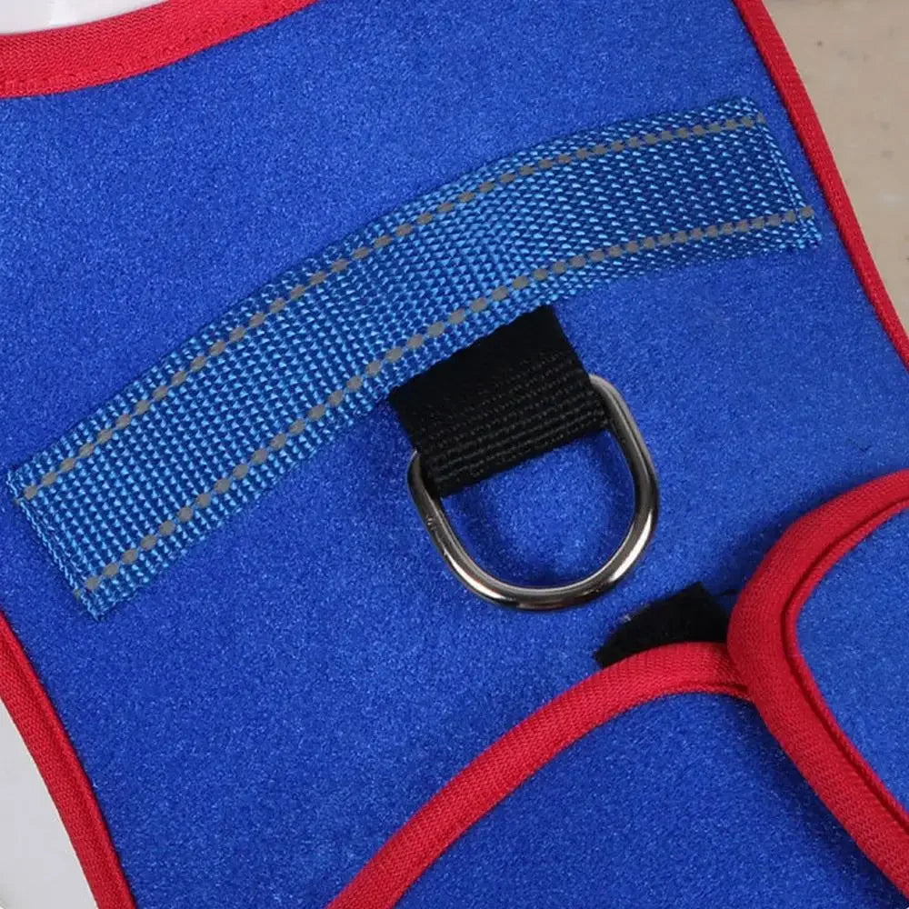 Spinal-Fracture-Fixation-Dog-Belt.jpg