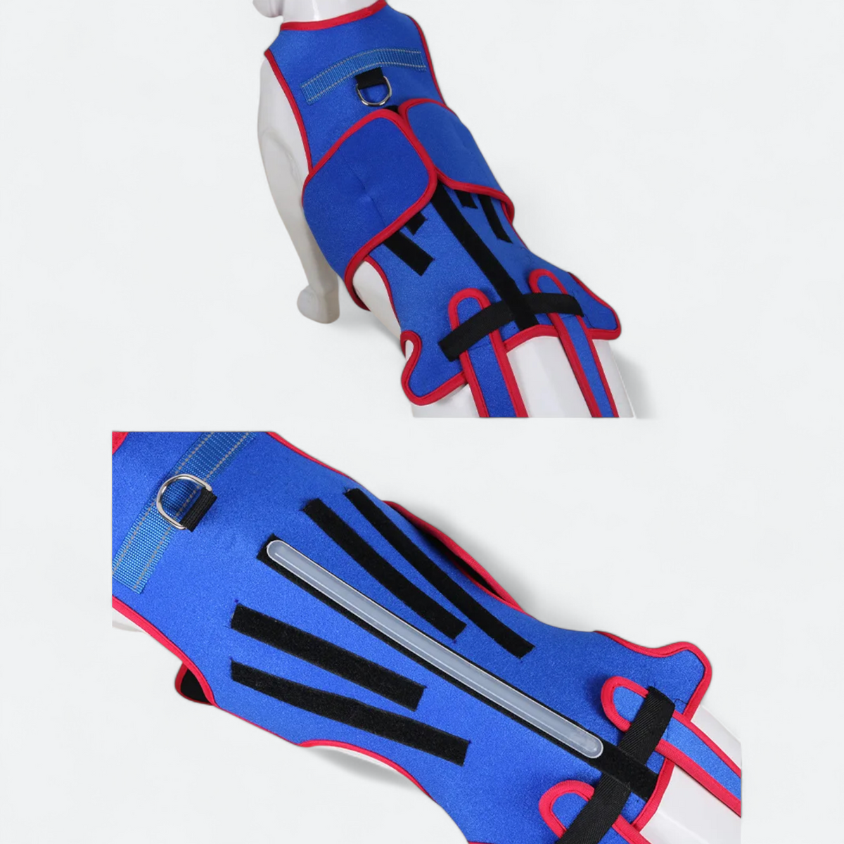 Spinal-Fracture-Fixation-Dog-Belt.jpg