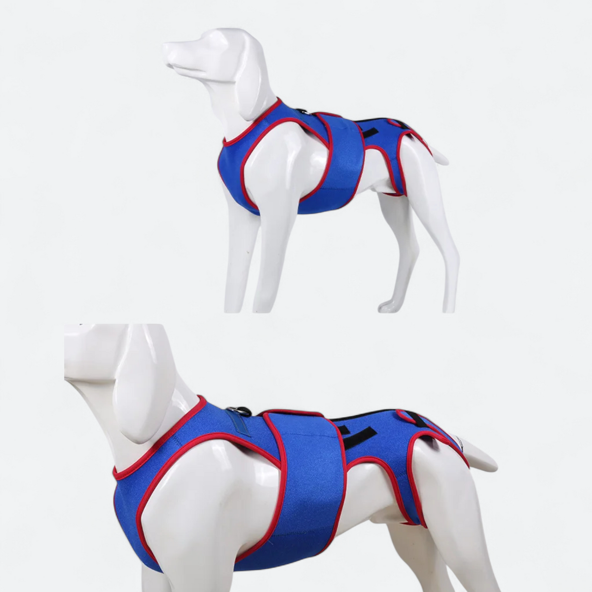 Spinal-Fracture-Fixation-Dog-Belt.jpg