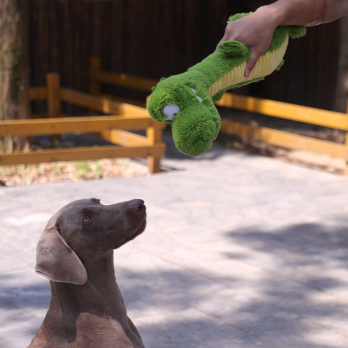 Squeaky-Plush-Crocodile-Dog-Toy.jpg
