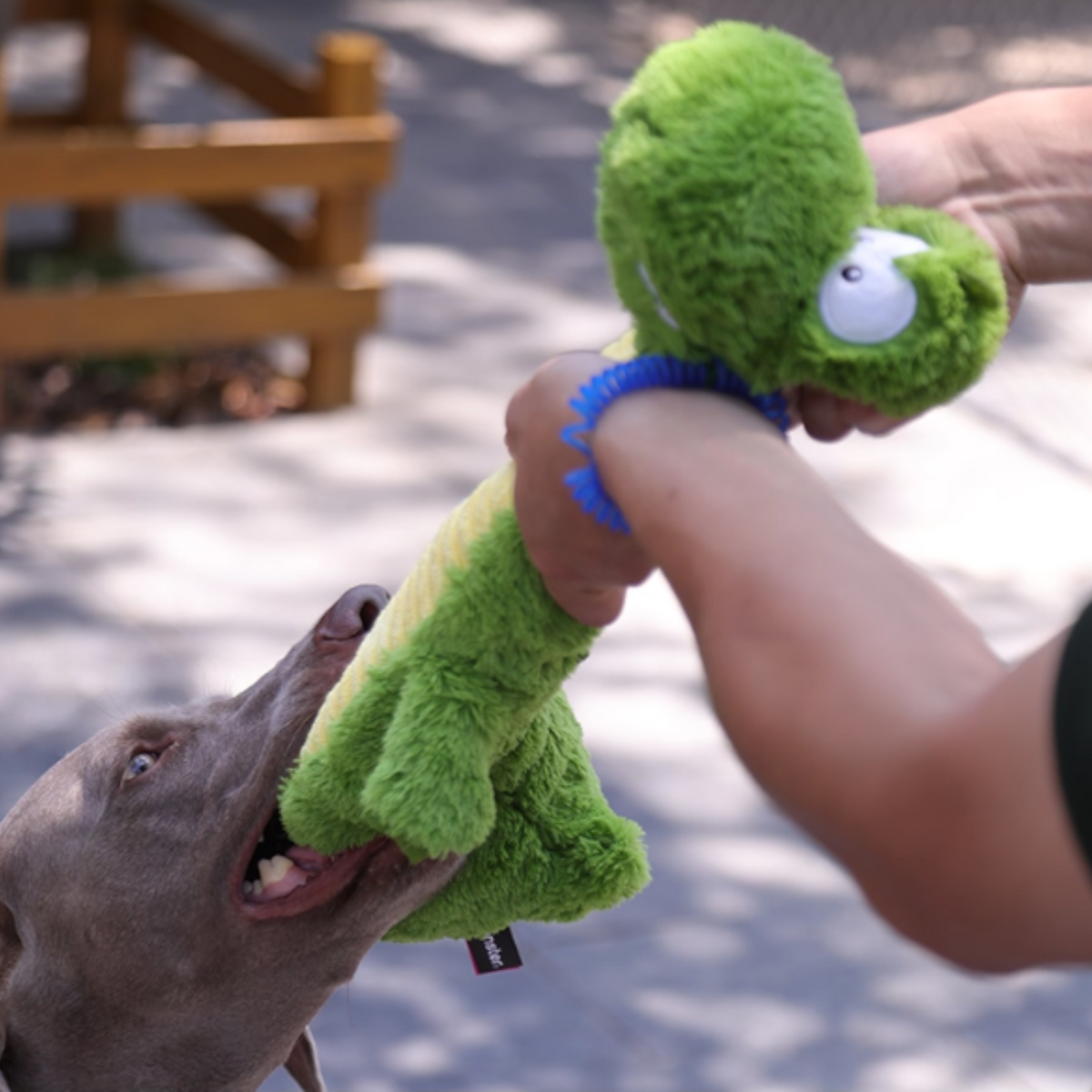 Squeaky-Plush-Crocodile-Dog-Toy.jpg
