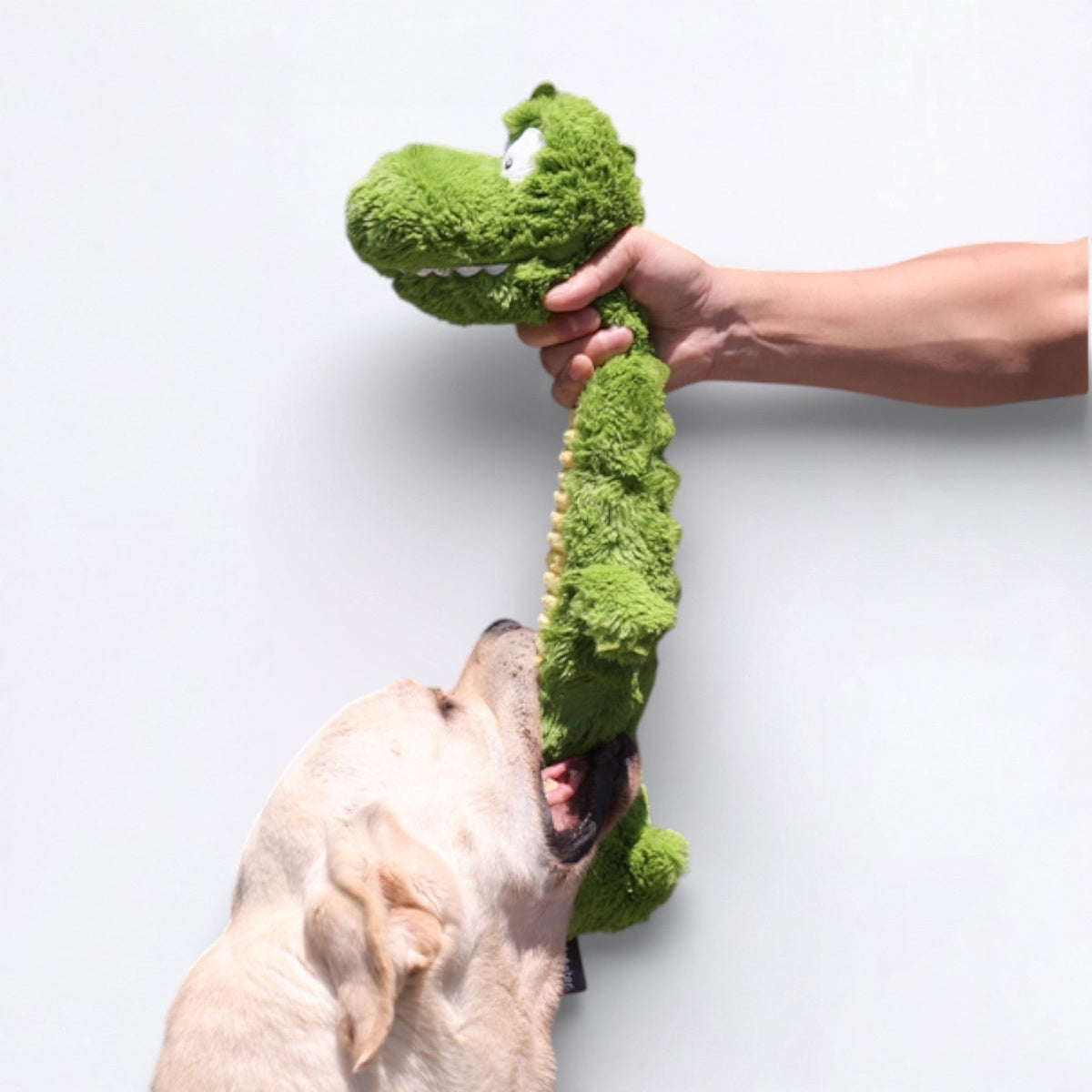 Squeaky-Plush-Crocodile-Dog-Toy.jpg