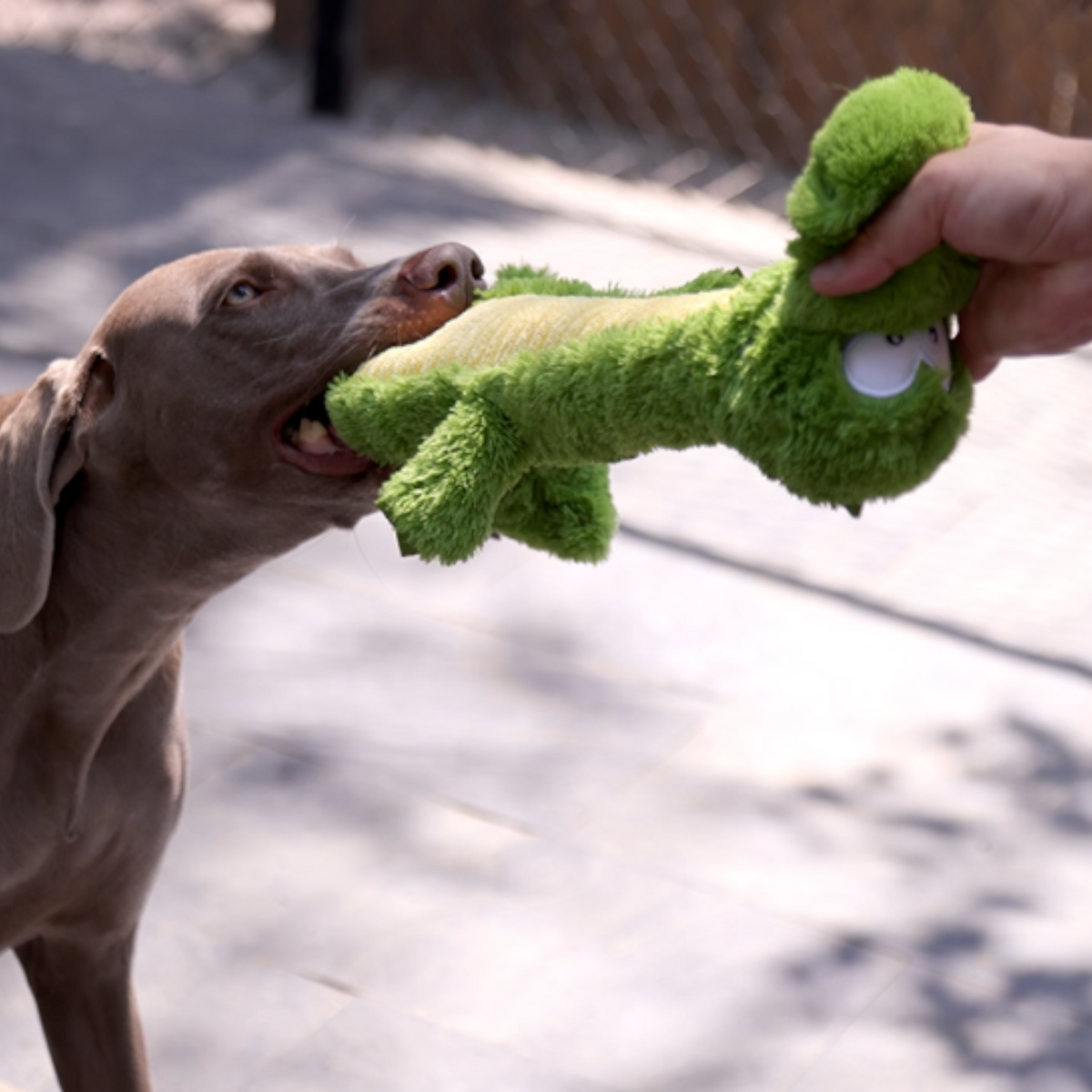 Squeaky-Plush-Crocodile-Dog-Toy.jpg