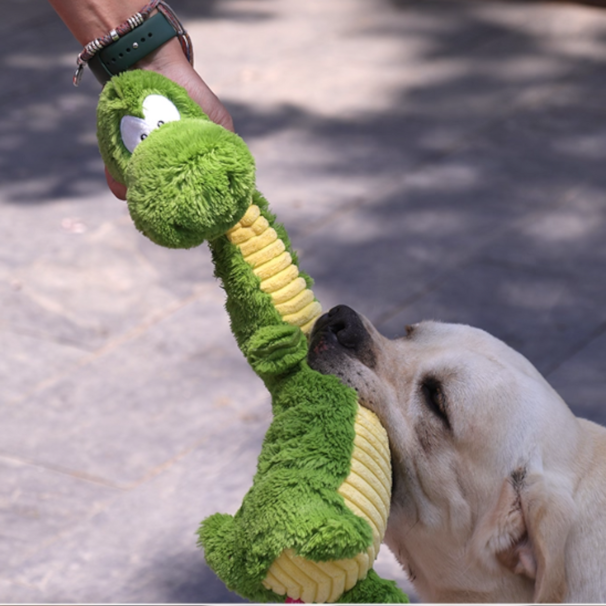 Squeaky-Plush-Crocodile-Dog-Toy.jpg