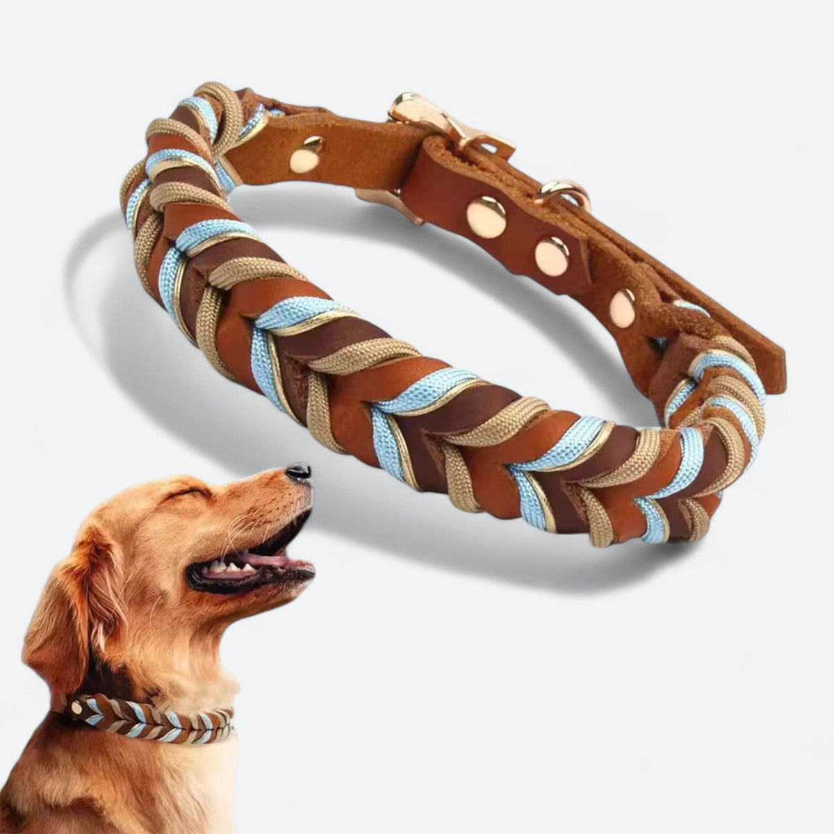 Genuine leather dog collar