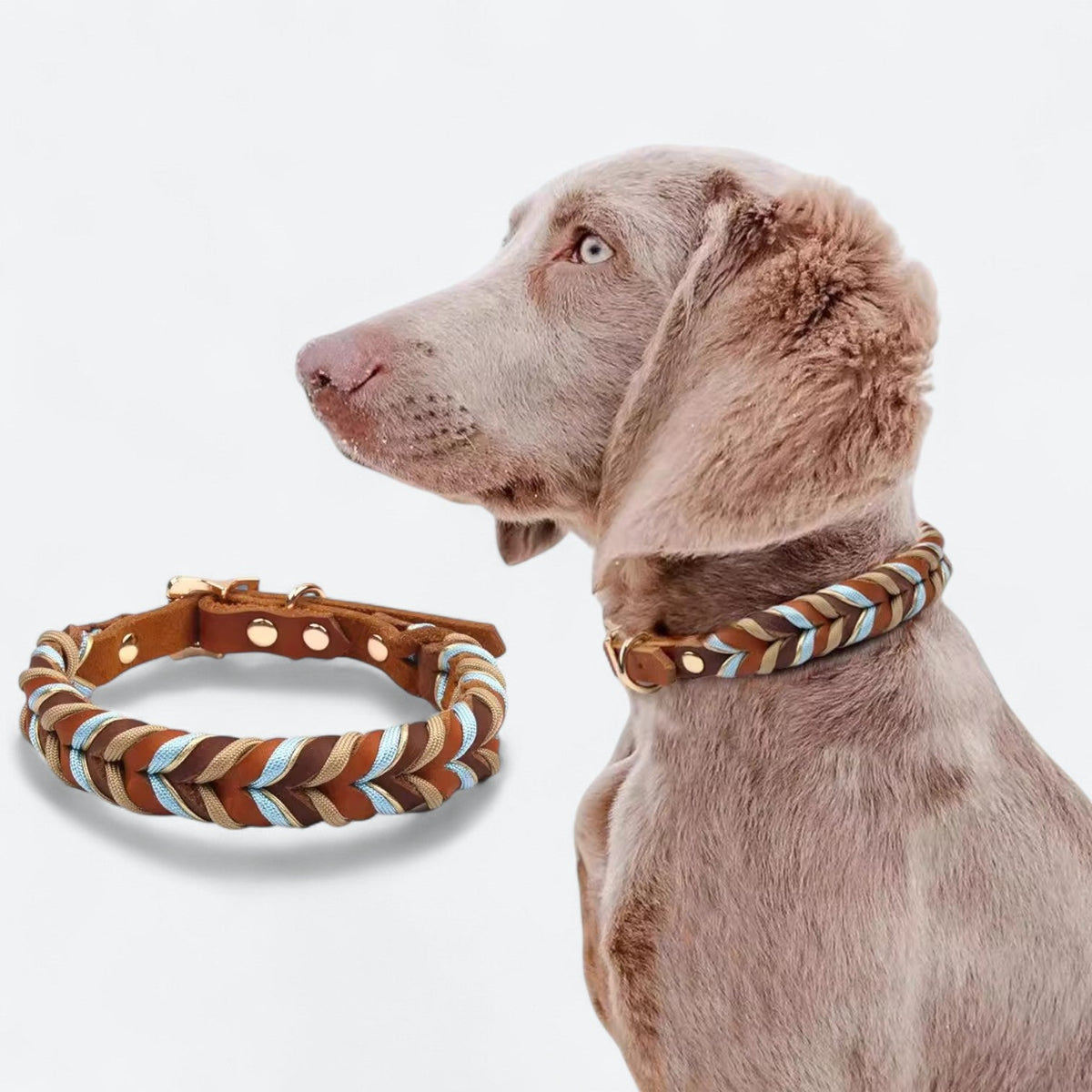 Stylish-Genuine-Leather-Dog-Collar.jpg
