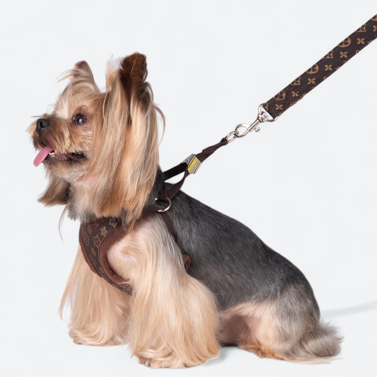 Stylish-Mesh-Dog-Harness-Set.jpg