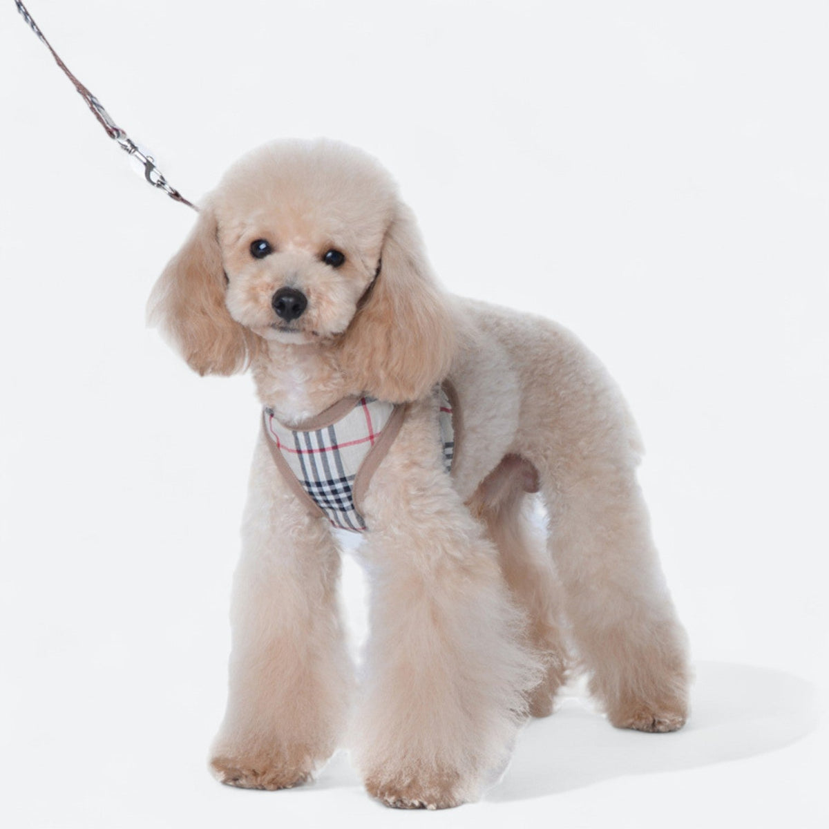 Stylish-Mesh-Dog-Harness-Set.jpg
