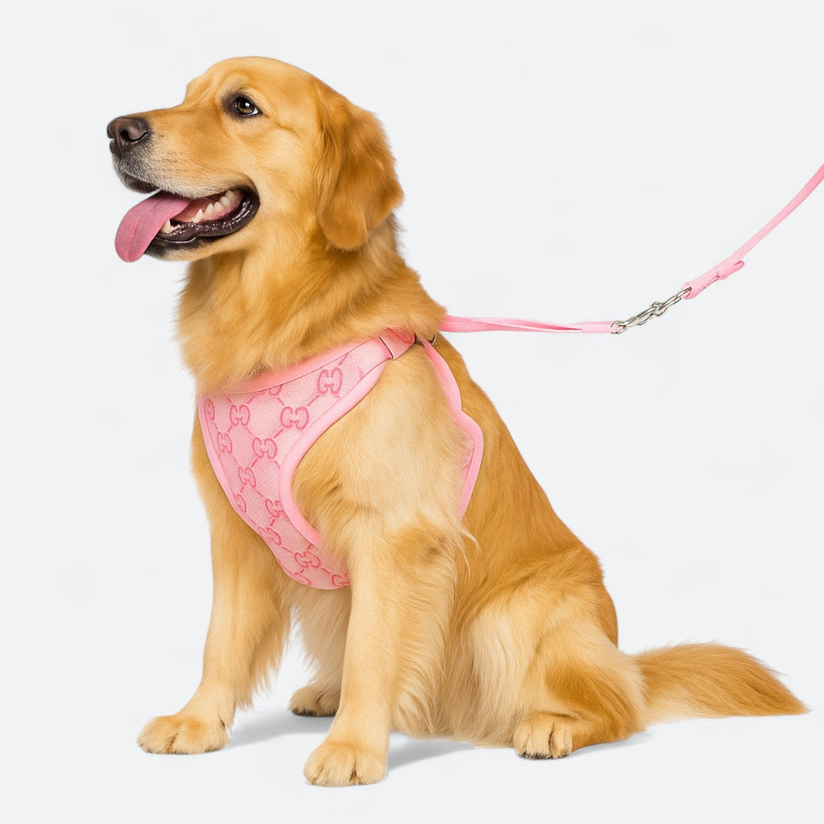 Stylish-Mesh-Dog-Harness-Set.jpg