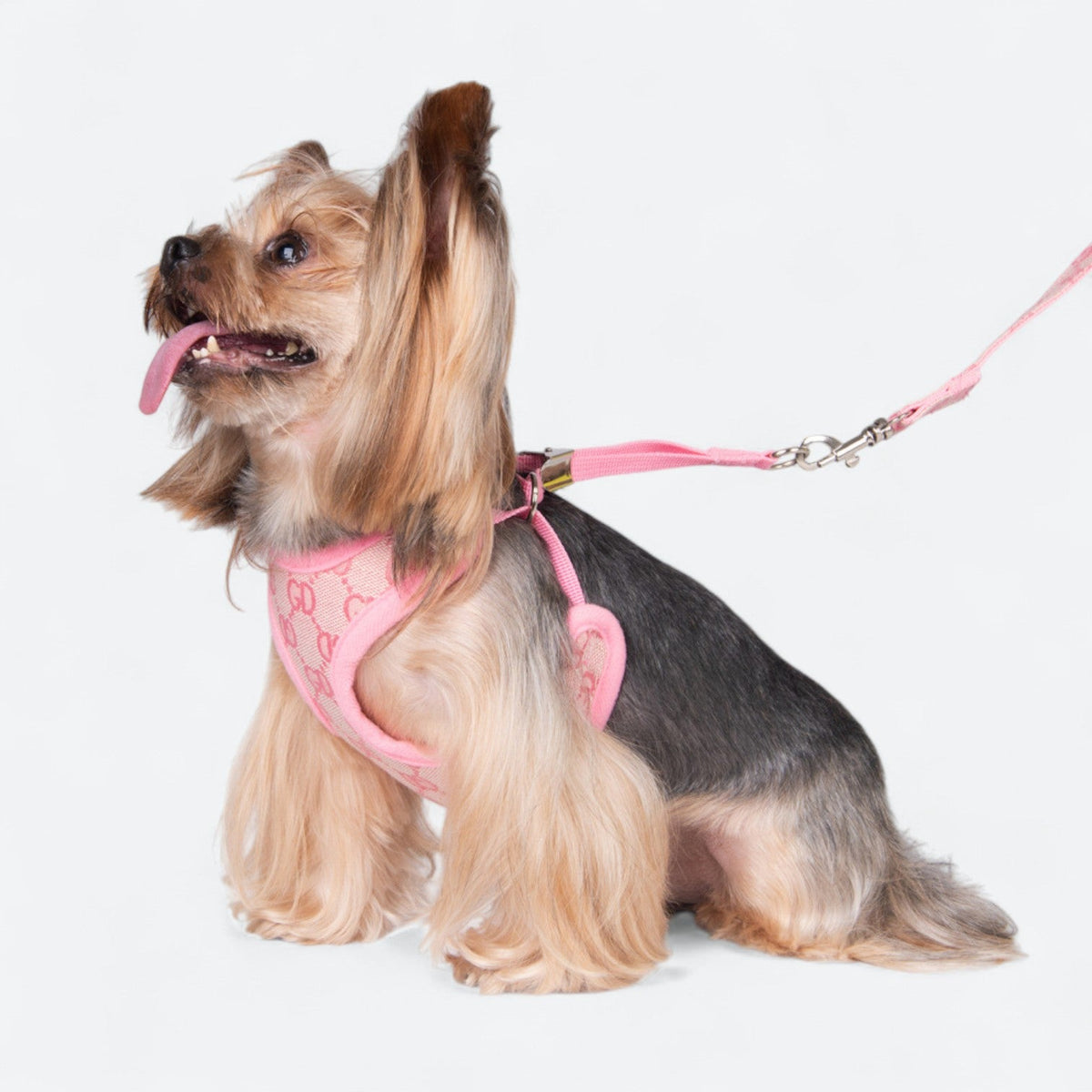 Stylish-Mesh-Dog-Harness-Set.jpg
