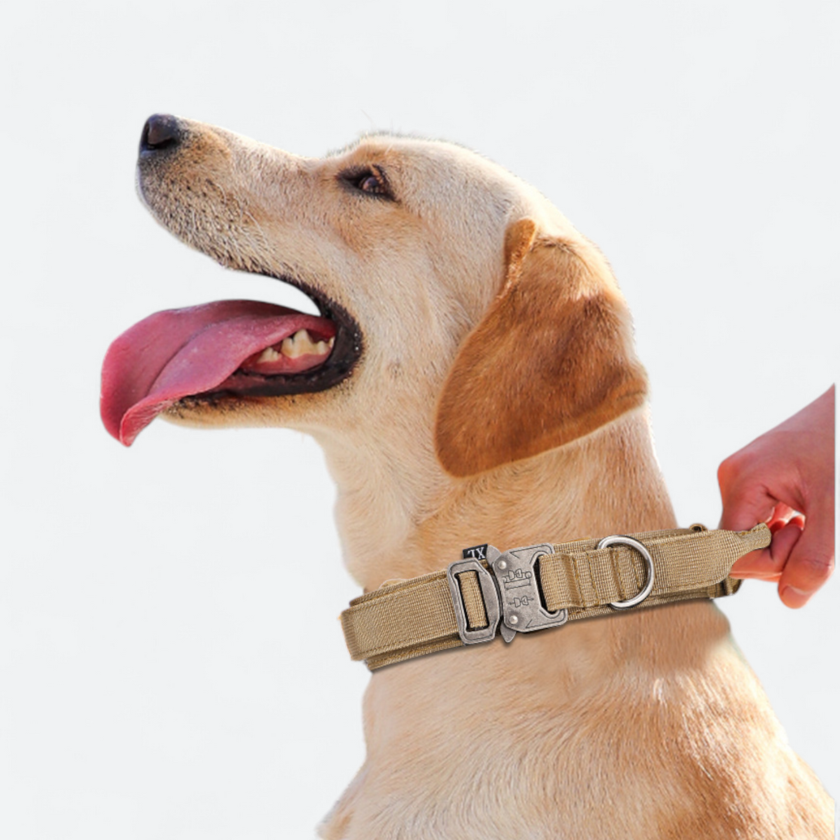 Tactical dog collar and leash set