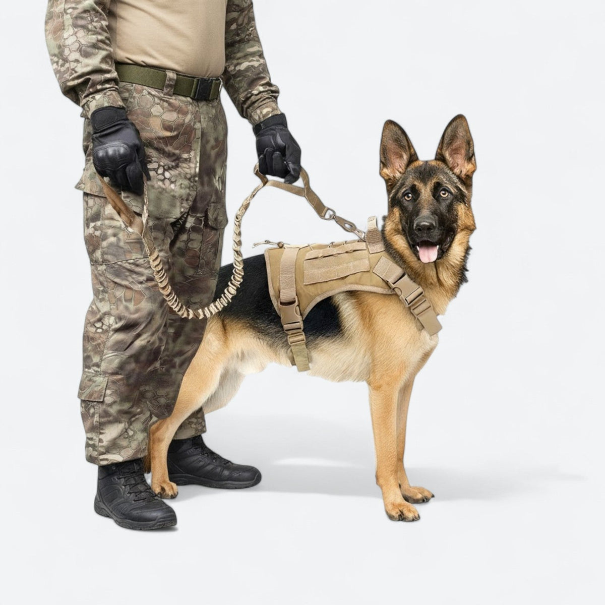 Military-grade tactical dog harness vest set