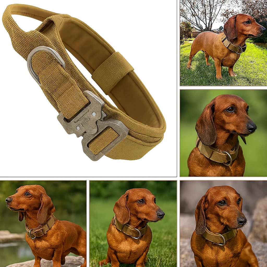 Tactical-No-Pull-Dog-Collar.jpg