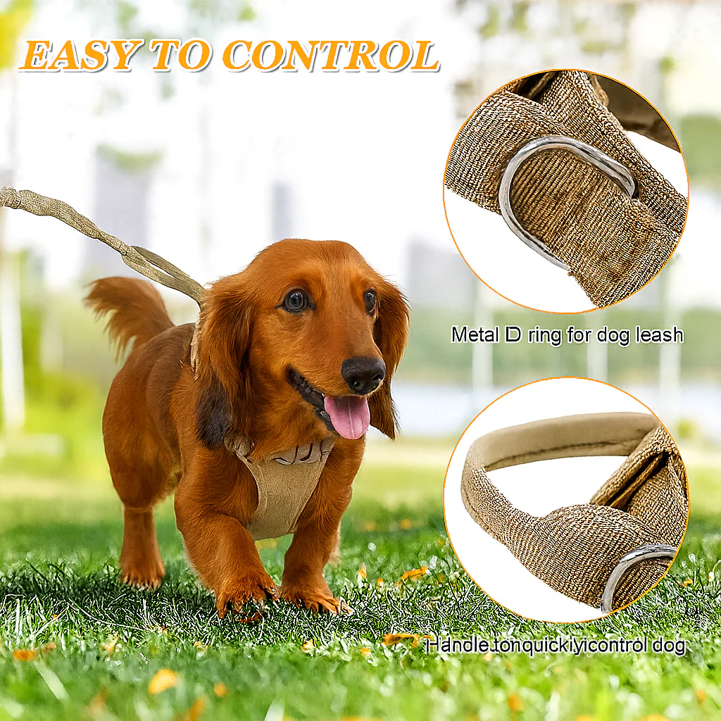 Tactical-No-Pull-Dog-Collar.jpg