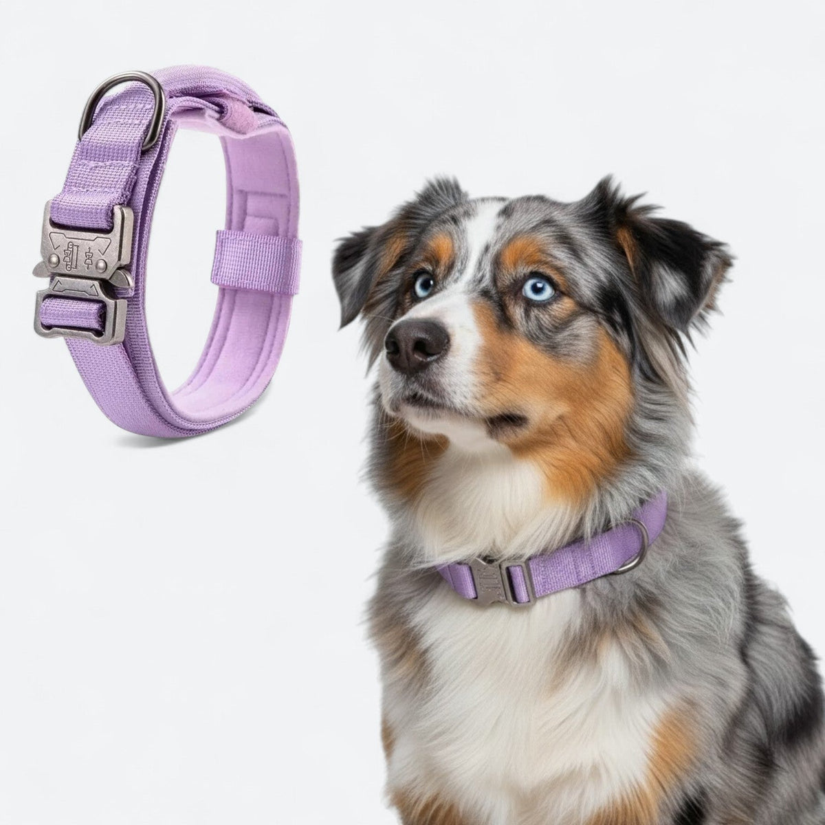 Tactical-No-Pull-Dog-Collar.jpg