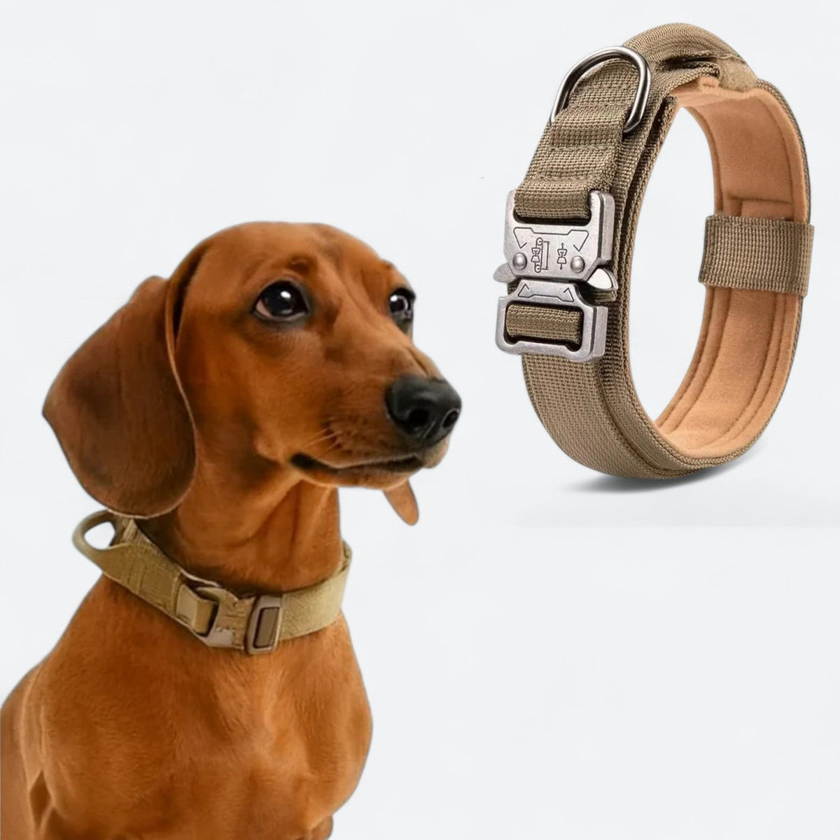 Tactical-No-Pull-Dog-Collar.jpg