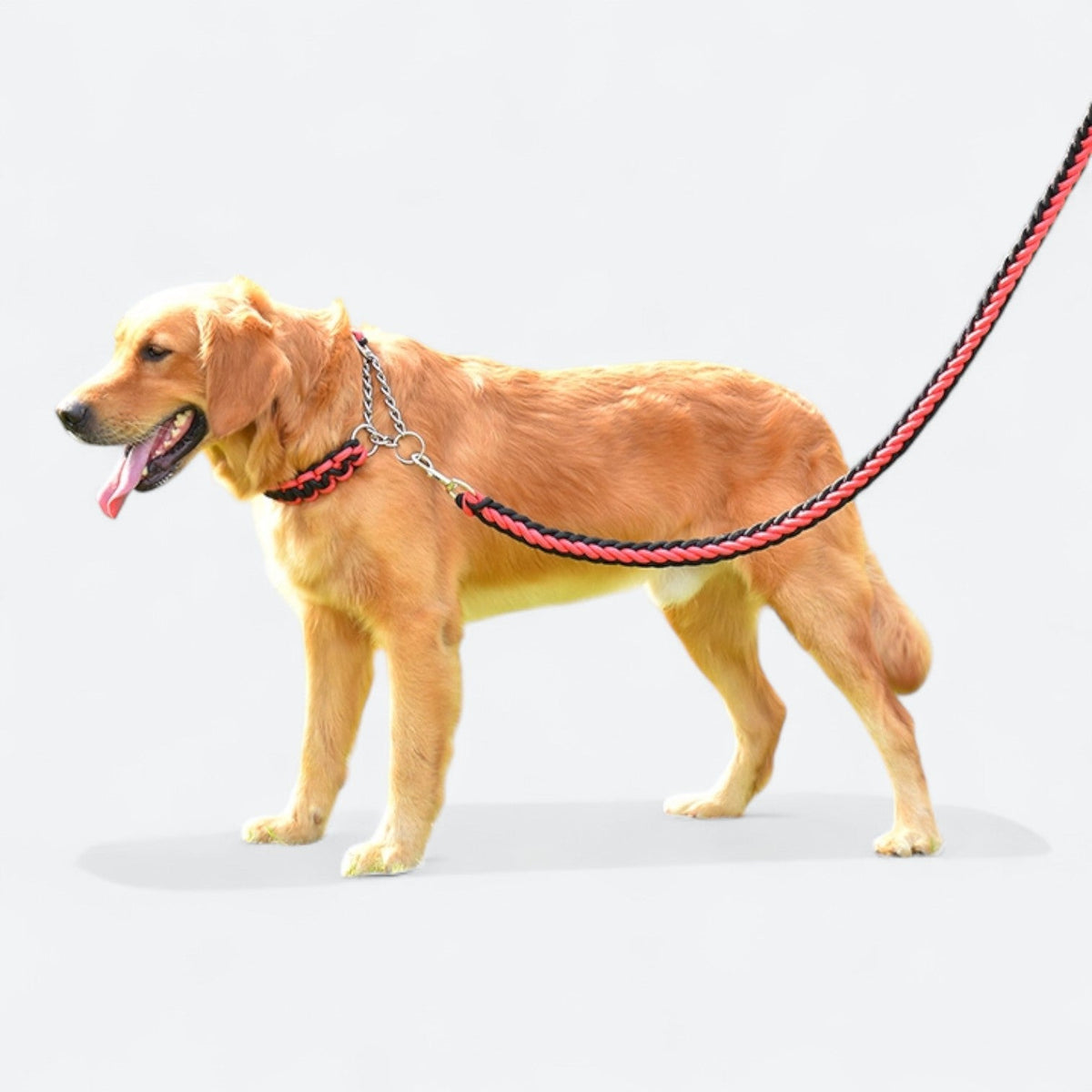 Training-Dog-Harness-Leash-Set-with-Collar.jpg