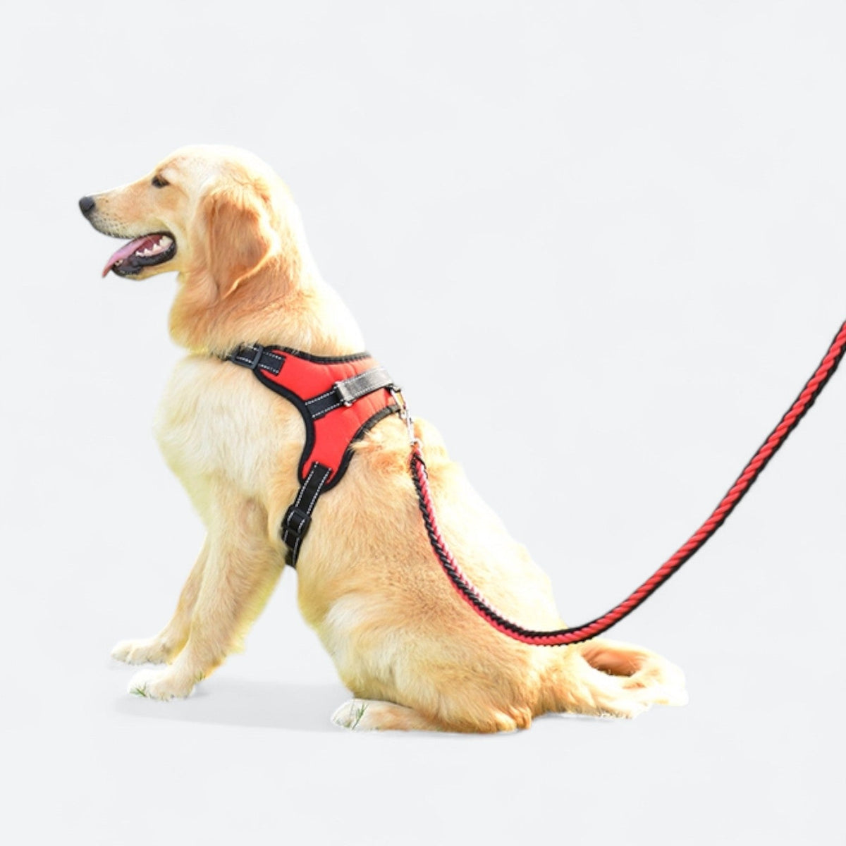 Training-Dog-Harness-Leash-Set-with-Collar.jpg