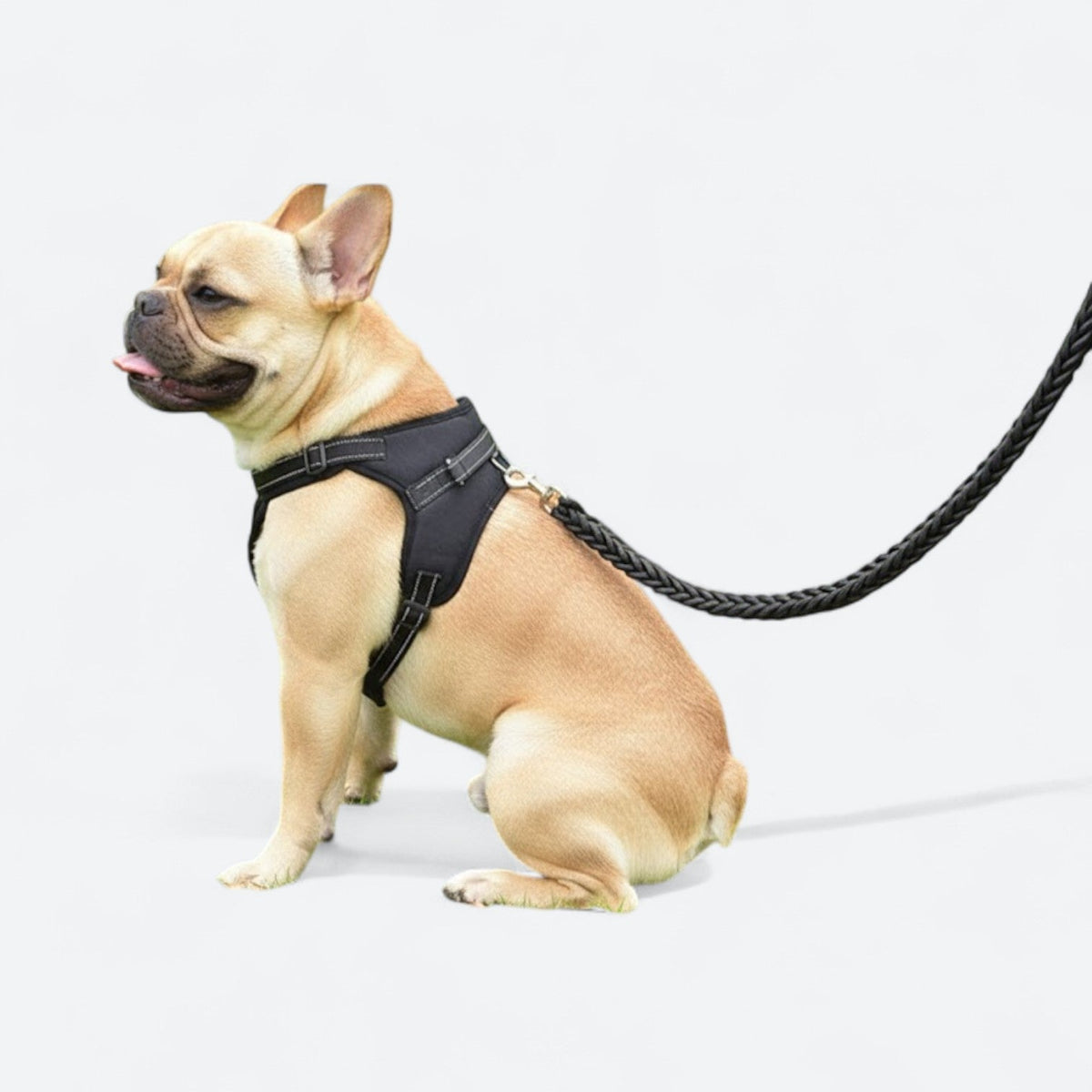 Training-Dog-Harness-Leash-Set-with-Collar.jpg