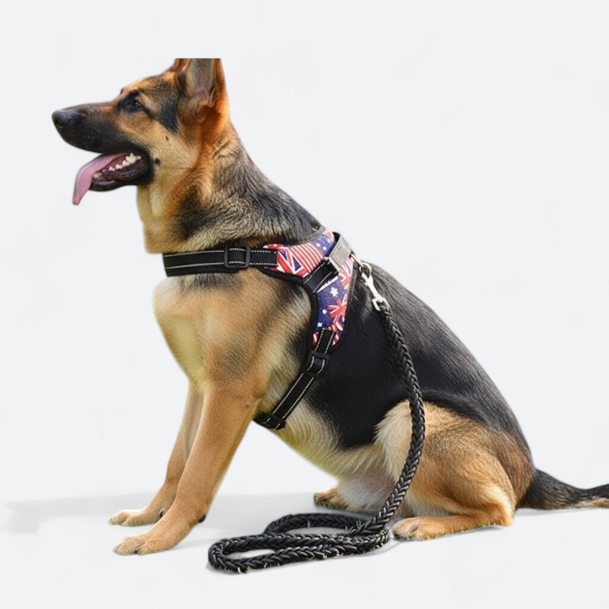 Training-Dog-Harness-Leash-Set-with-Collar.jpg