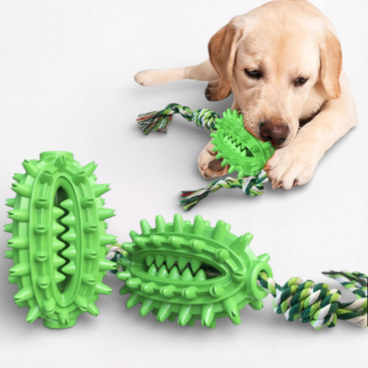 Treat-Dispensing-Dog-Chew-Toy.jpg