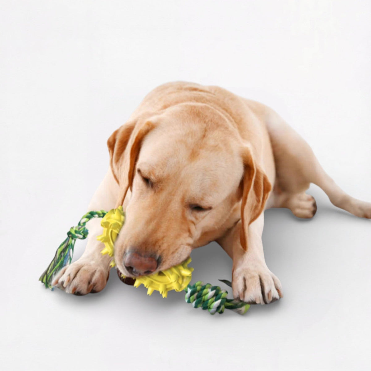 Treat-Dispensing-Dog-Chew-Toy.jpg