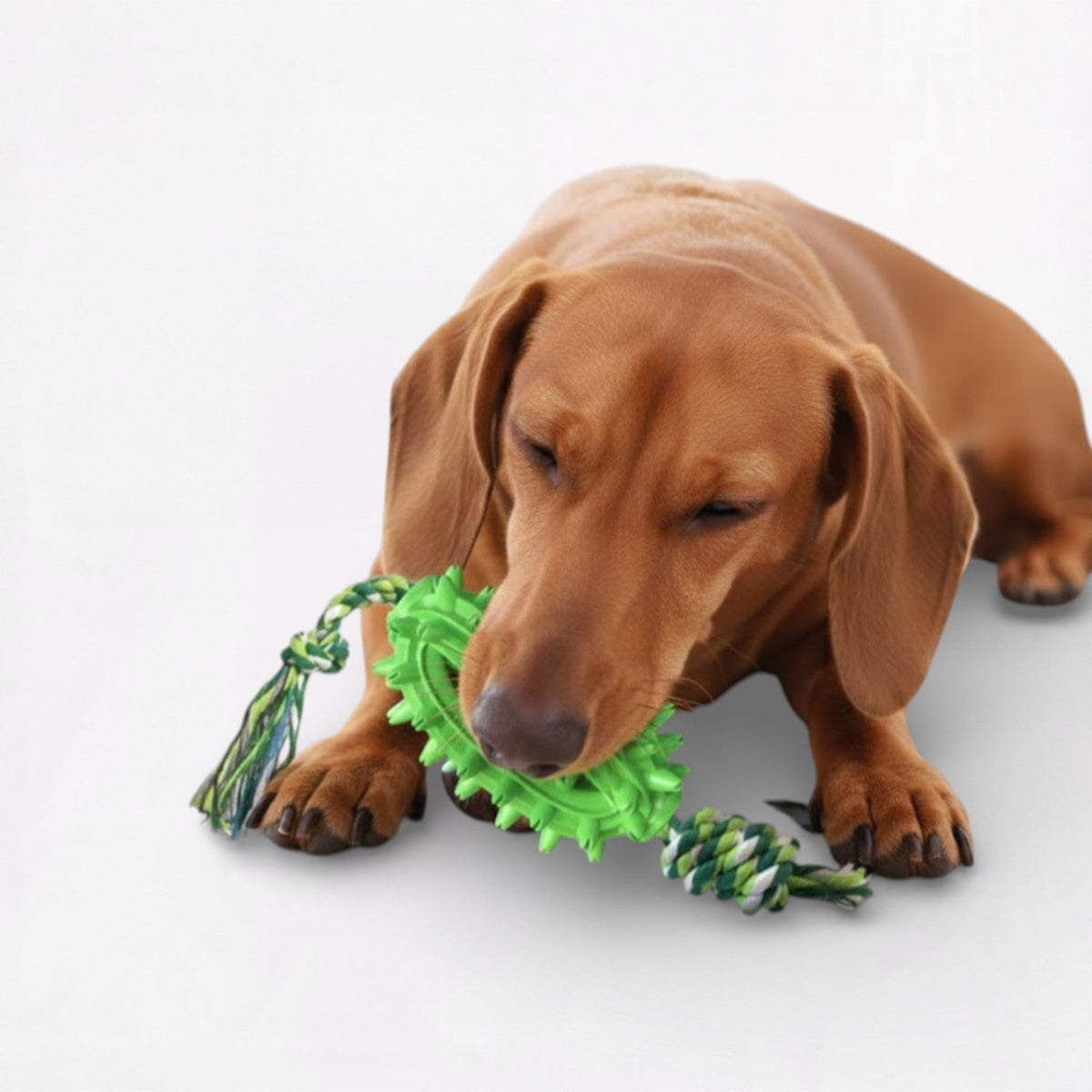 Treat-Dispensing-Dog-Chew-Toy.jpg