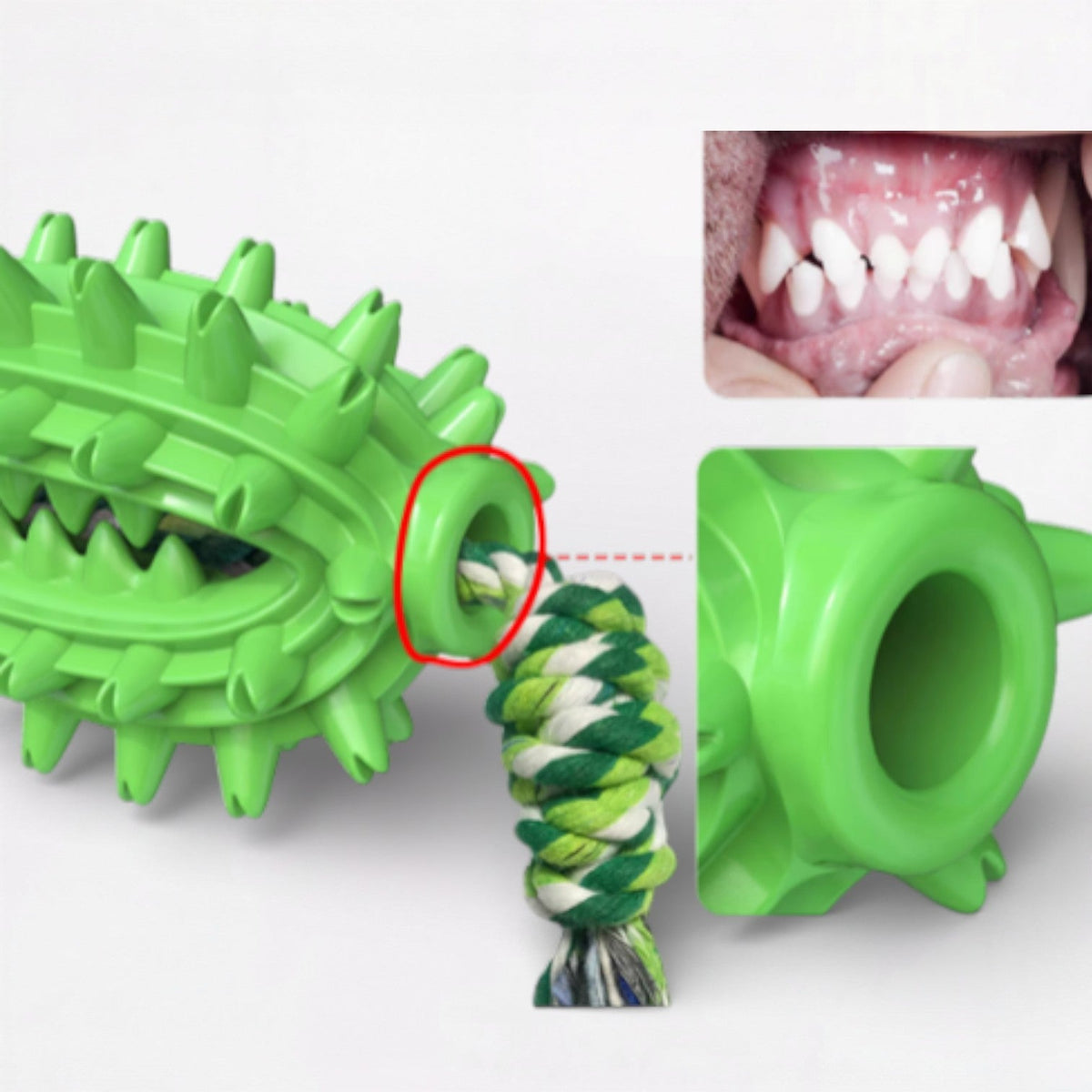 Treat-Dispensing-Dog-Chew-Toy.jpg