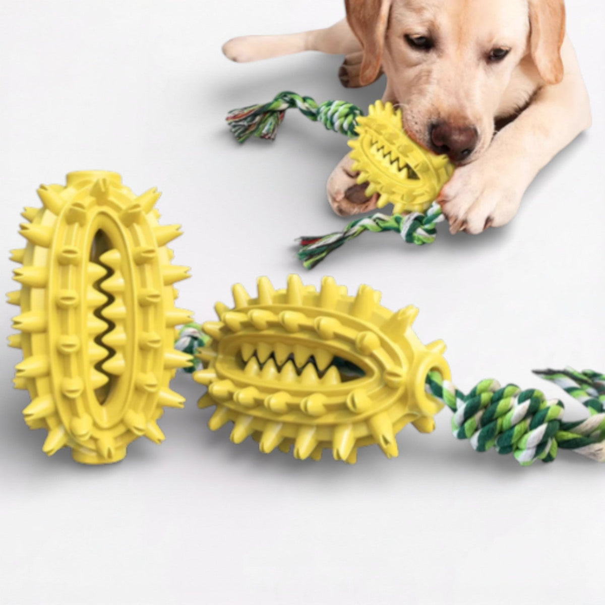 Treat-Dispensing-Dog-Chew-Toy.jpg