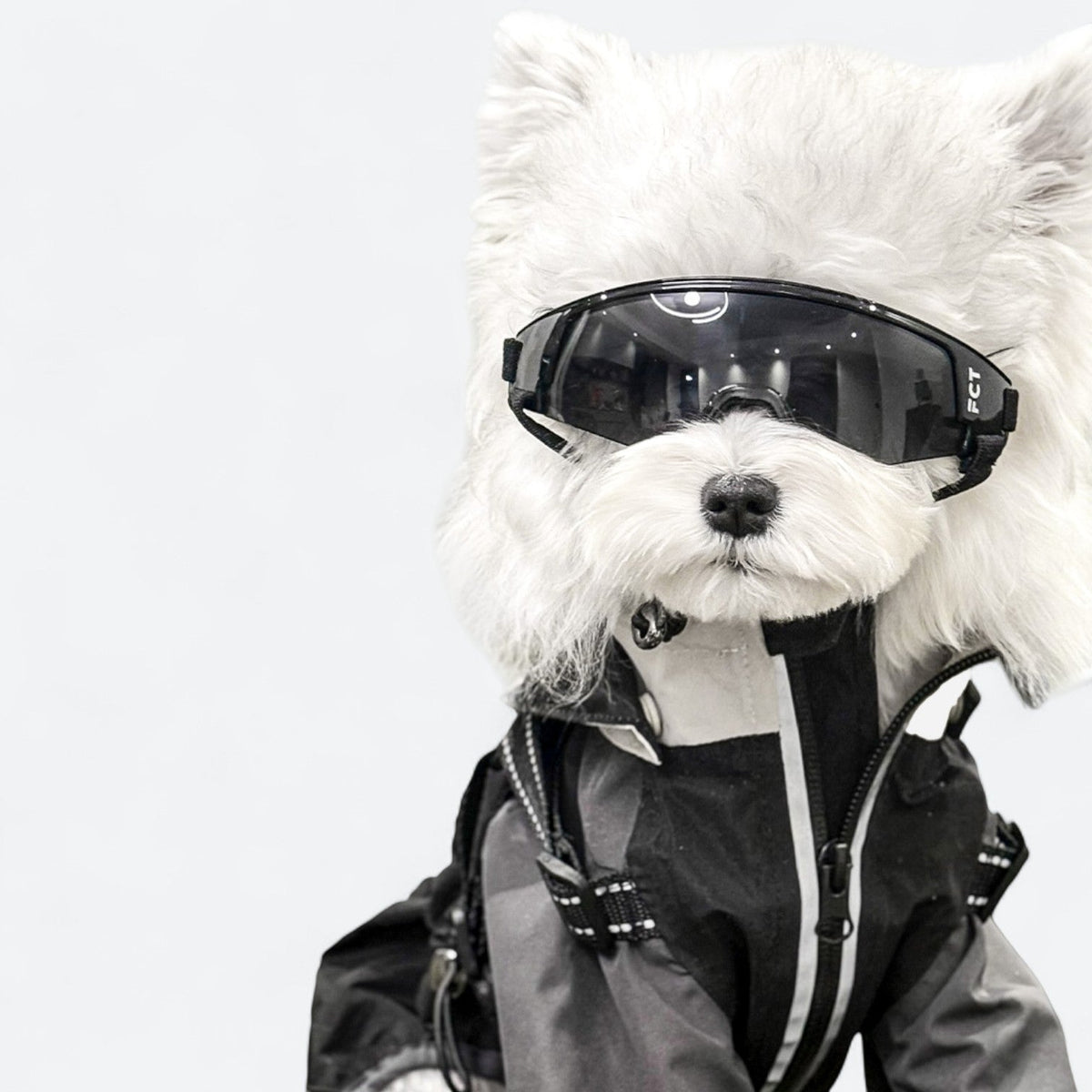 UV-Protection-Dog-Goggles.jpg