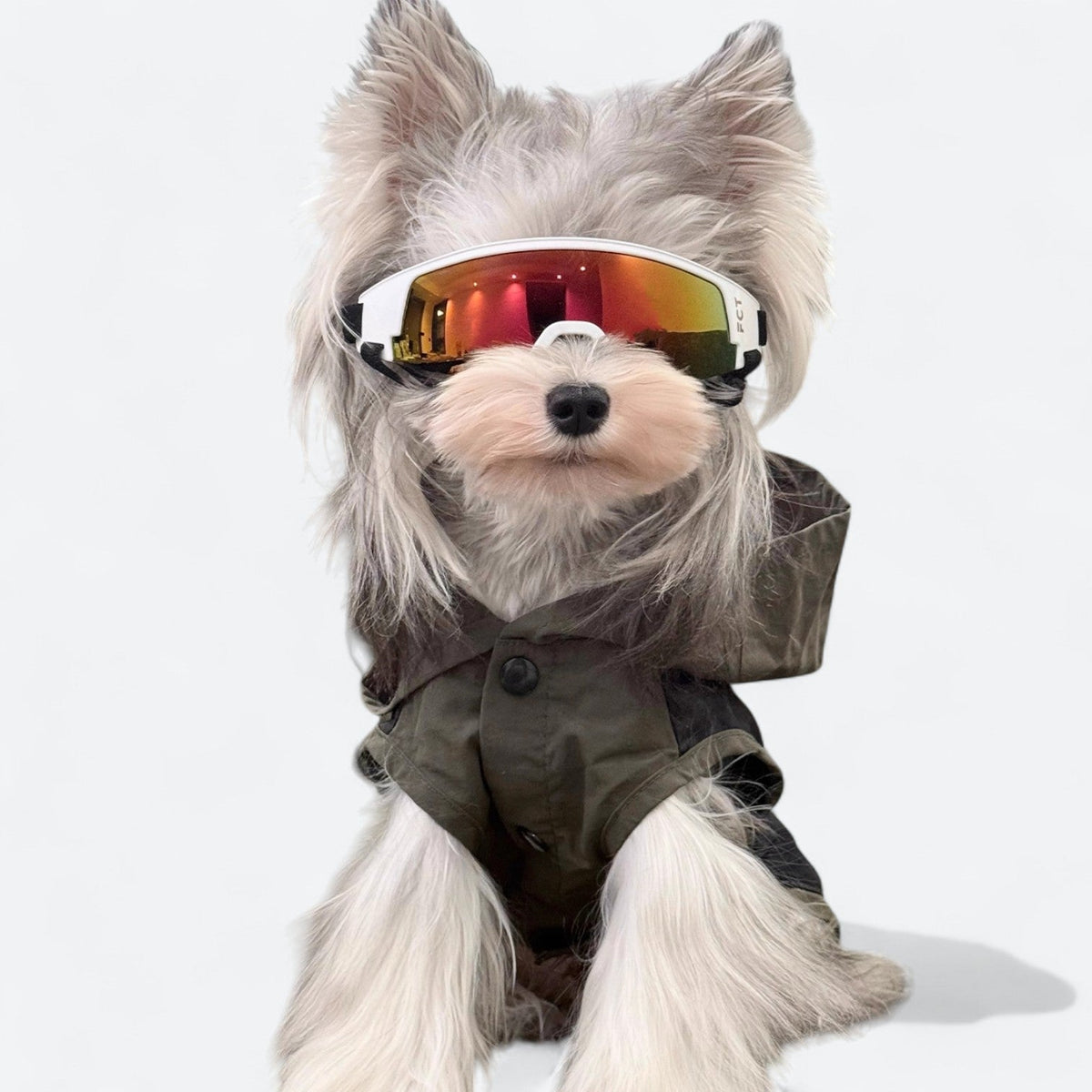 UV-Protection-Dog-Goggles.jpg
