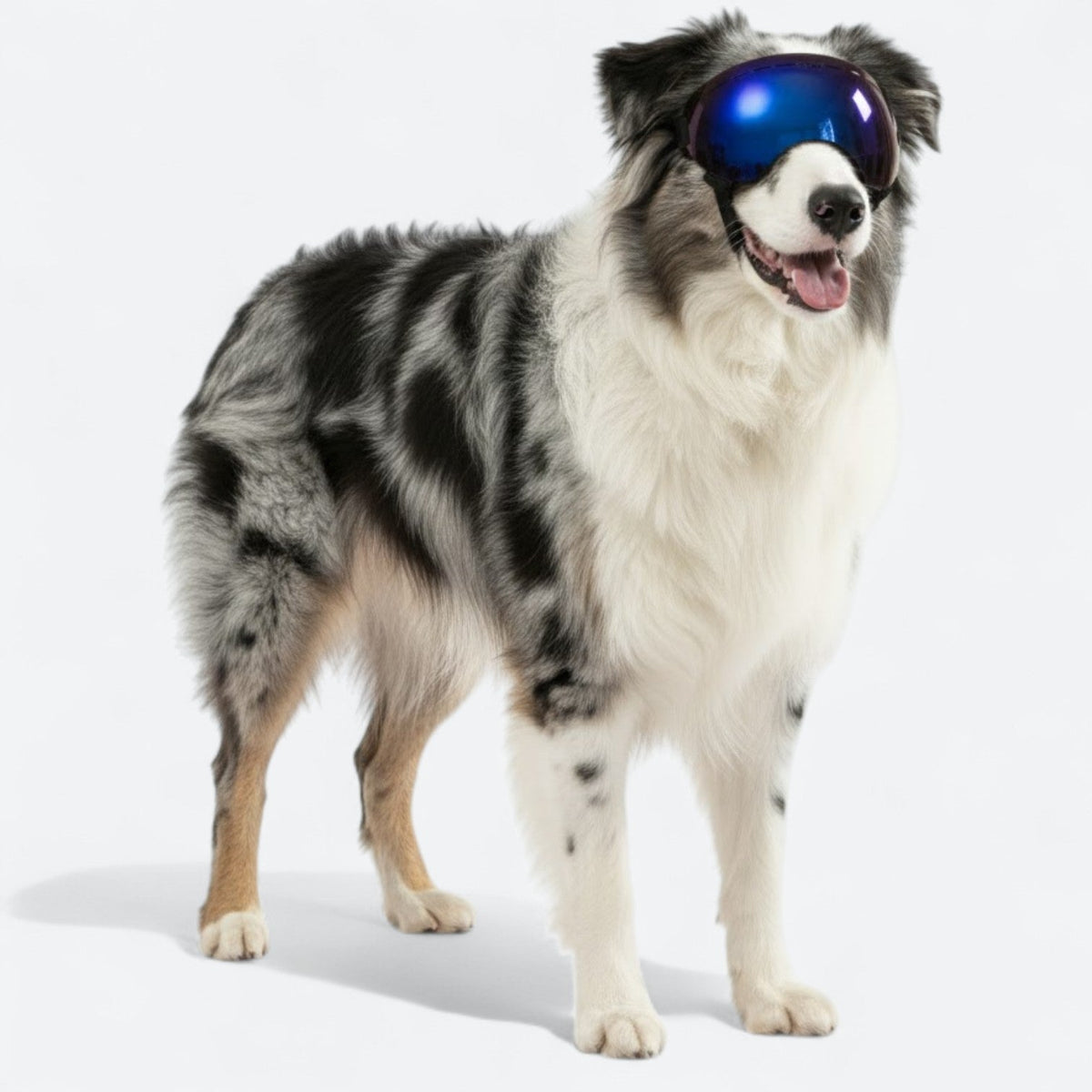UV-Protection-Dog-Goggles.jpg