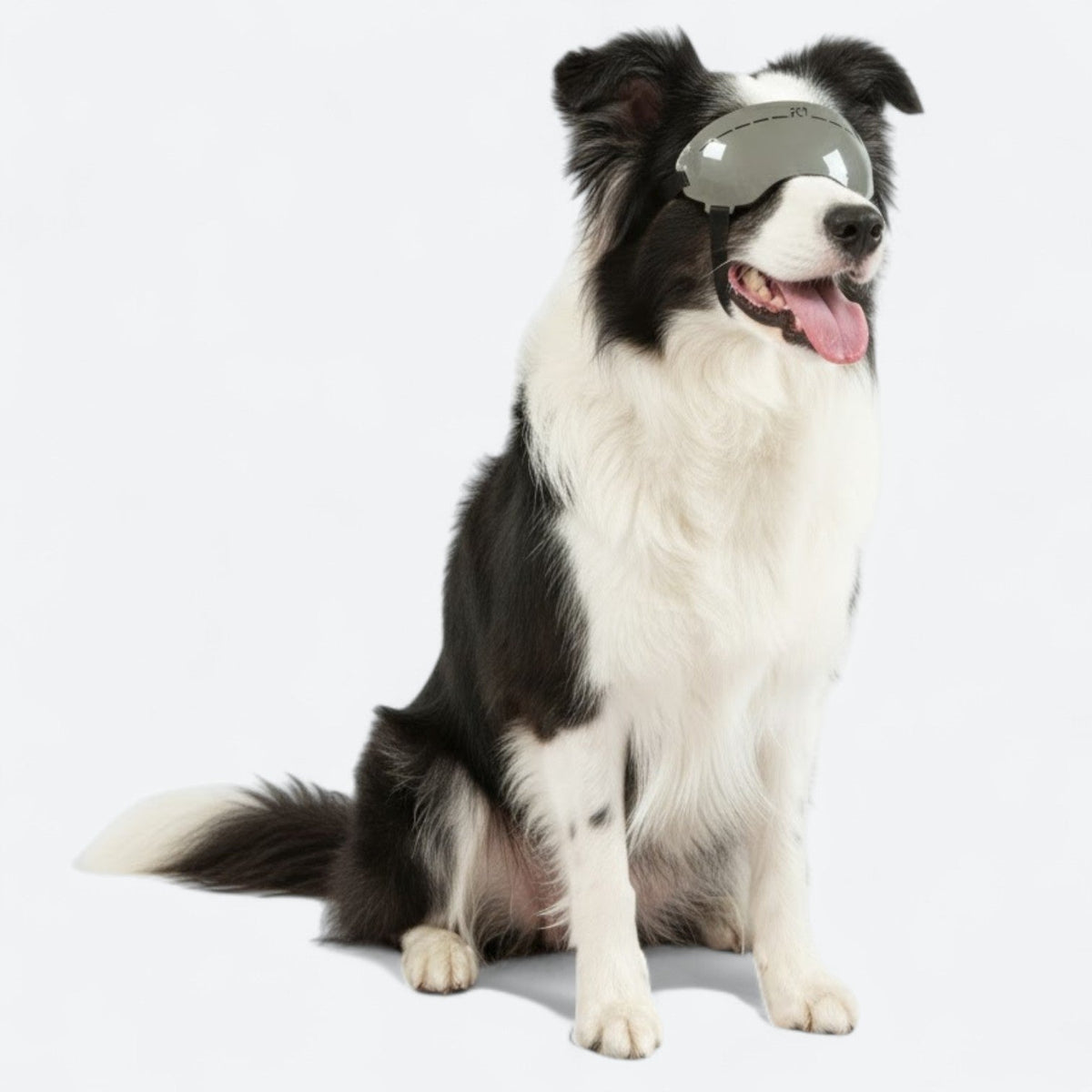 UV-Protection-Dog-Goggles.jpg
