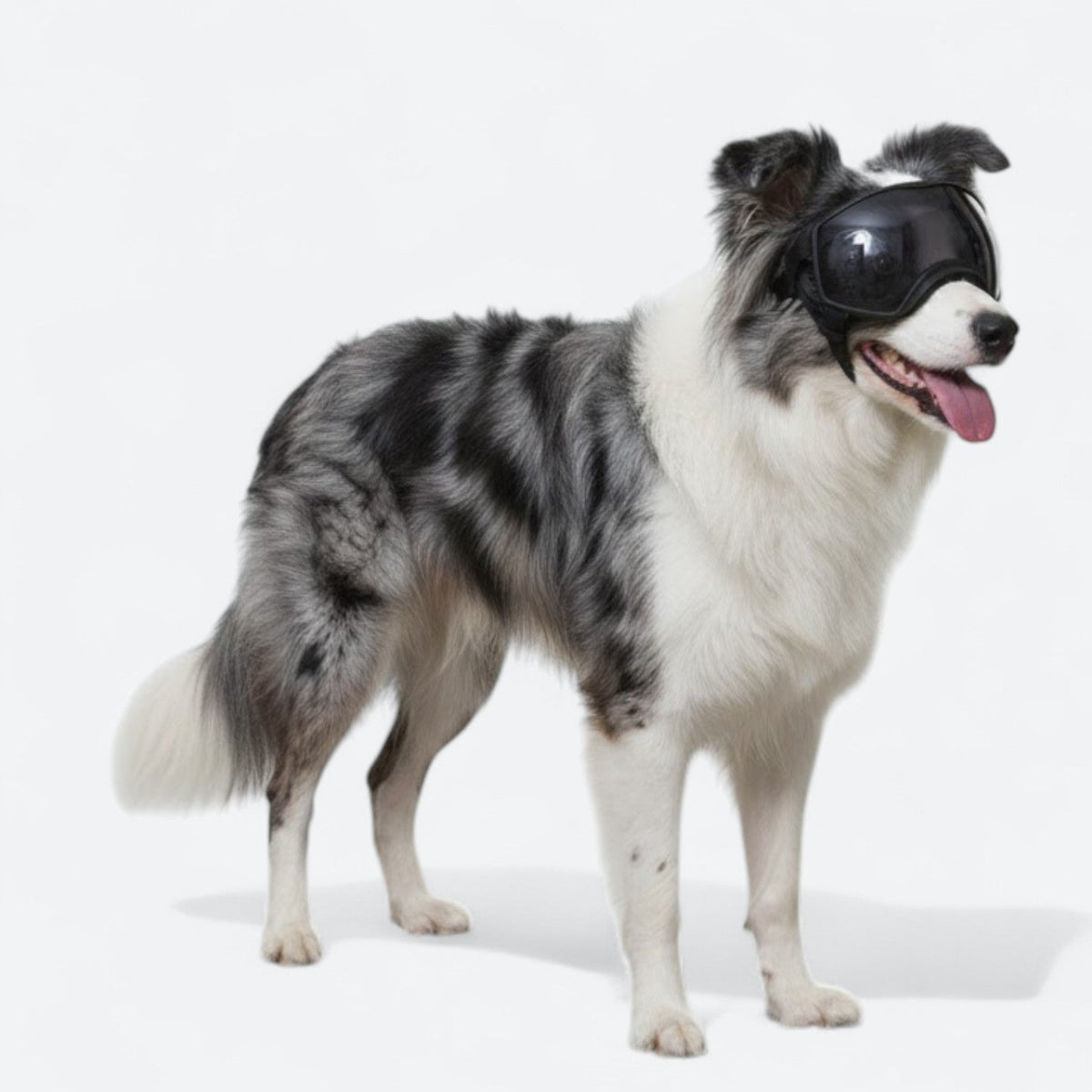 UV-Protection-Dog-Goggles.jpg