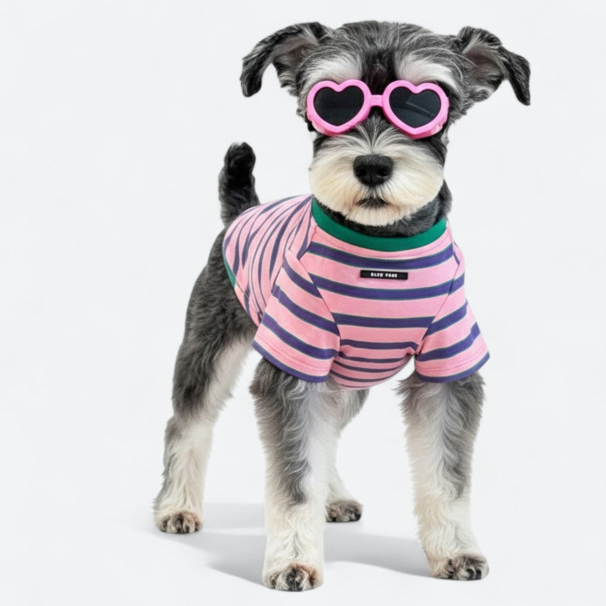 UV-Protection-Dog-Goggles.jpg