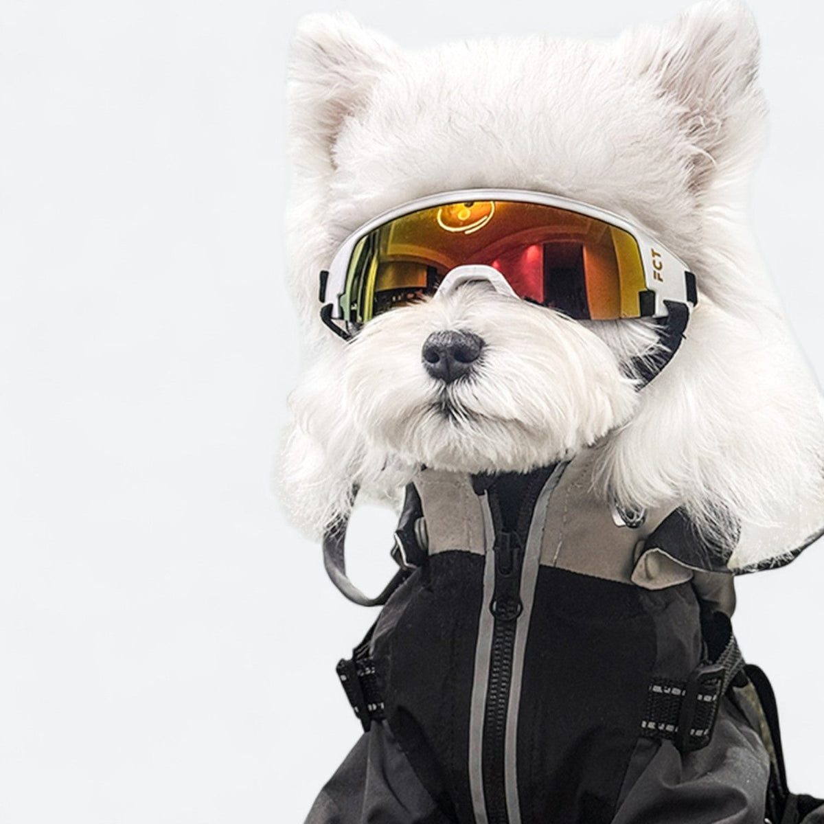 UV-Protection-Dog-Goggles.jpg