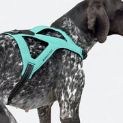 Ultra-light ergonomic dog chest harness