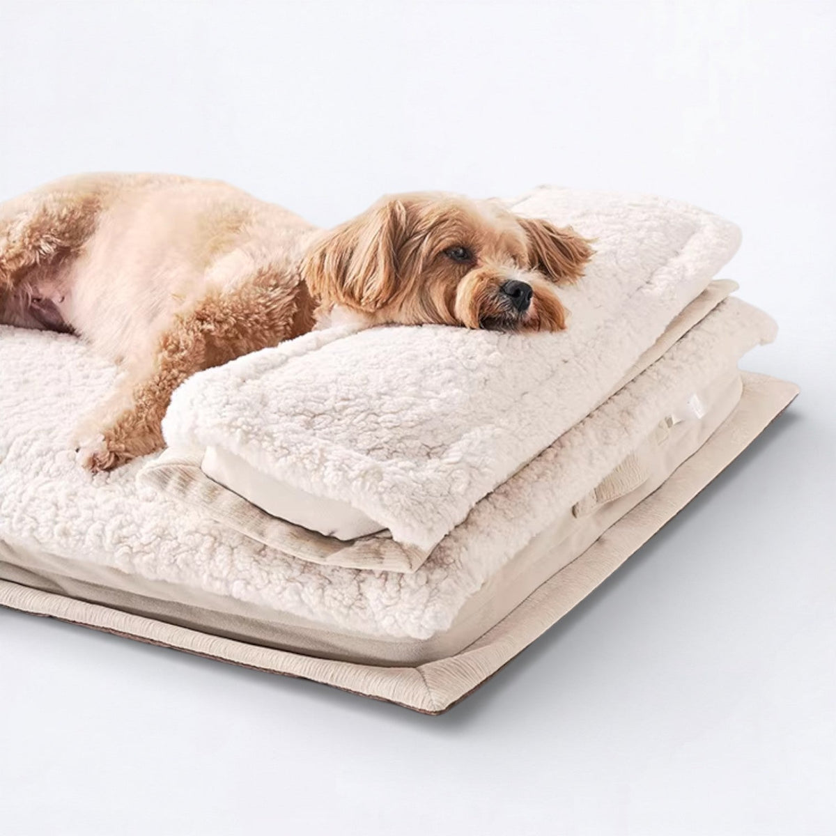 Ultra-Soft-Plush-Dog-Sleeping-Bed.jpg