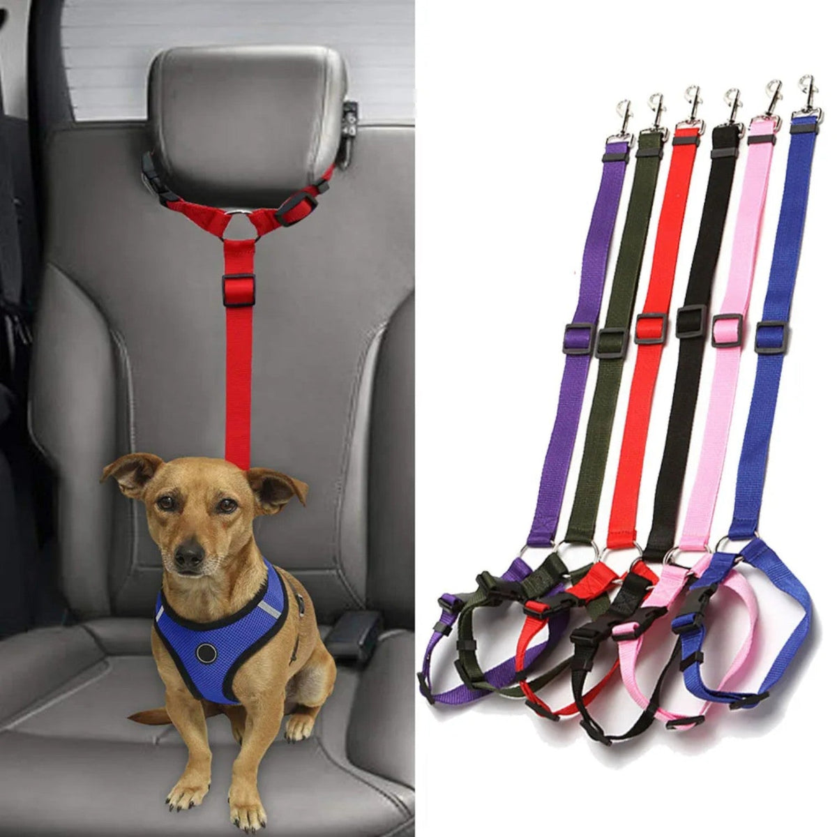 Universal-Safety-Dog-Car-Seat-Belt.jpg
