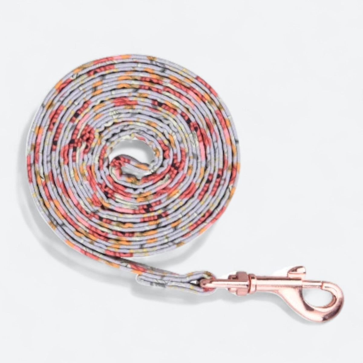 Versatile-Dog-Collar-Leash-Set.jpg